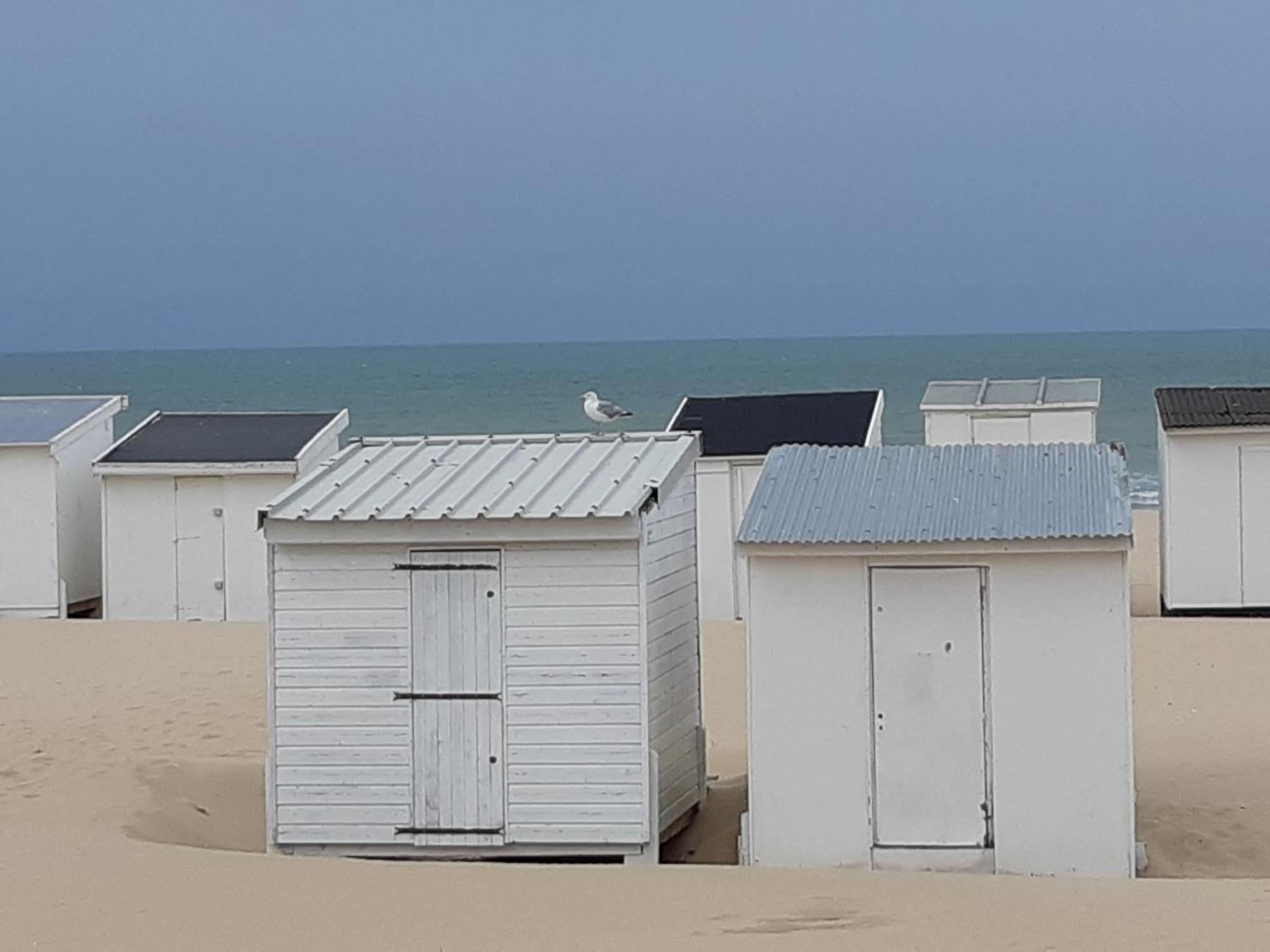 - Magnifique - Front De * Calais